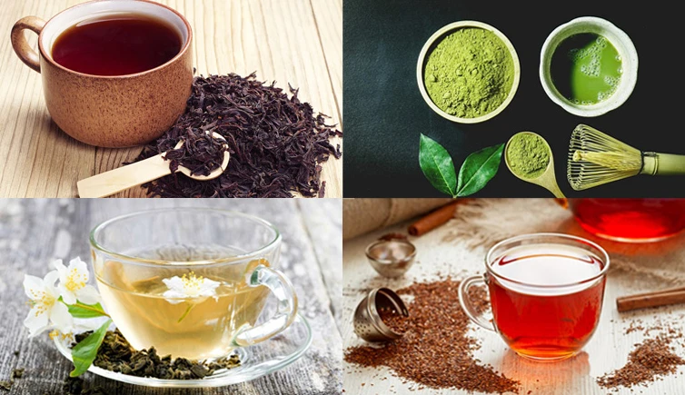 Hình ảnh cây lá nam và lợi ích sức khỏe của nó