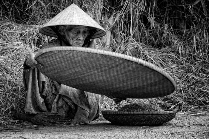 Bức tranh về tình cha mẹ đẹp và đầy ý nghĩa