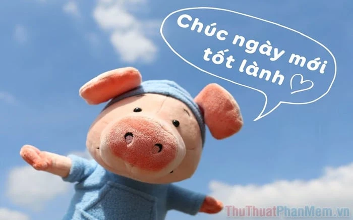 Hình ảnh chào ngày mới đầy năng lượng và lạc quan