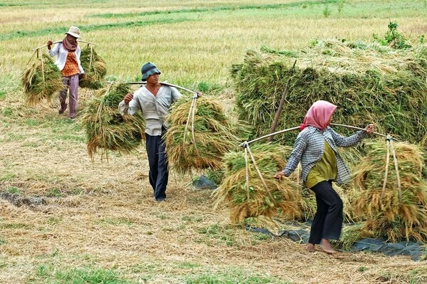 +100 Hình Ảnh Cha Mẹ Vất Vả Ý Nghĩa, Cảm Động Rơi Nước Mắt