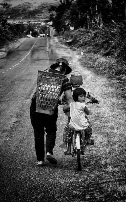 Bức tranh về tình cha mẹ đẹp và đầy ý nghĩa