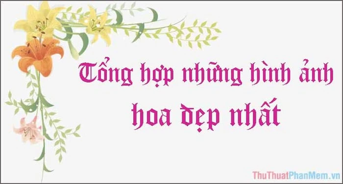 Khám Phá Những Hình Ảnh Hoa Đẹp Tự Nhiên Tuyệt Vời